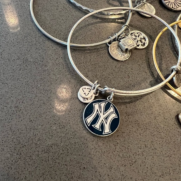Alex and Ani - silver and gold bracelets - all different charms - Picture 4 of 6